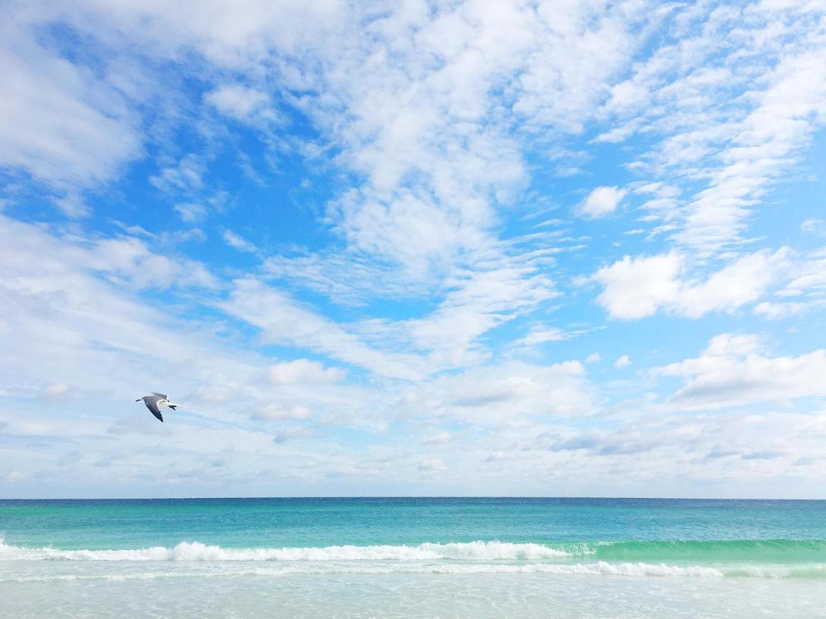 דסטין Beachy Keen מראה חיצוני תמונה